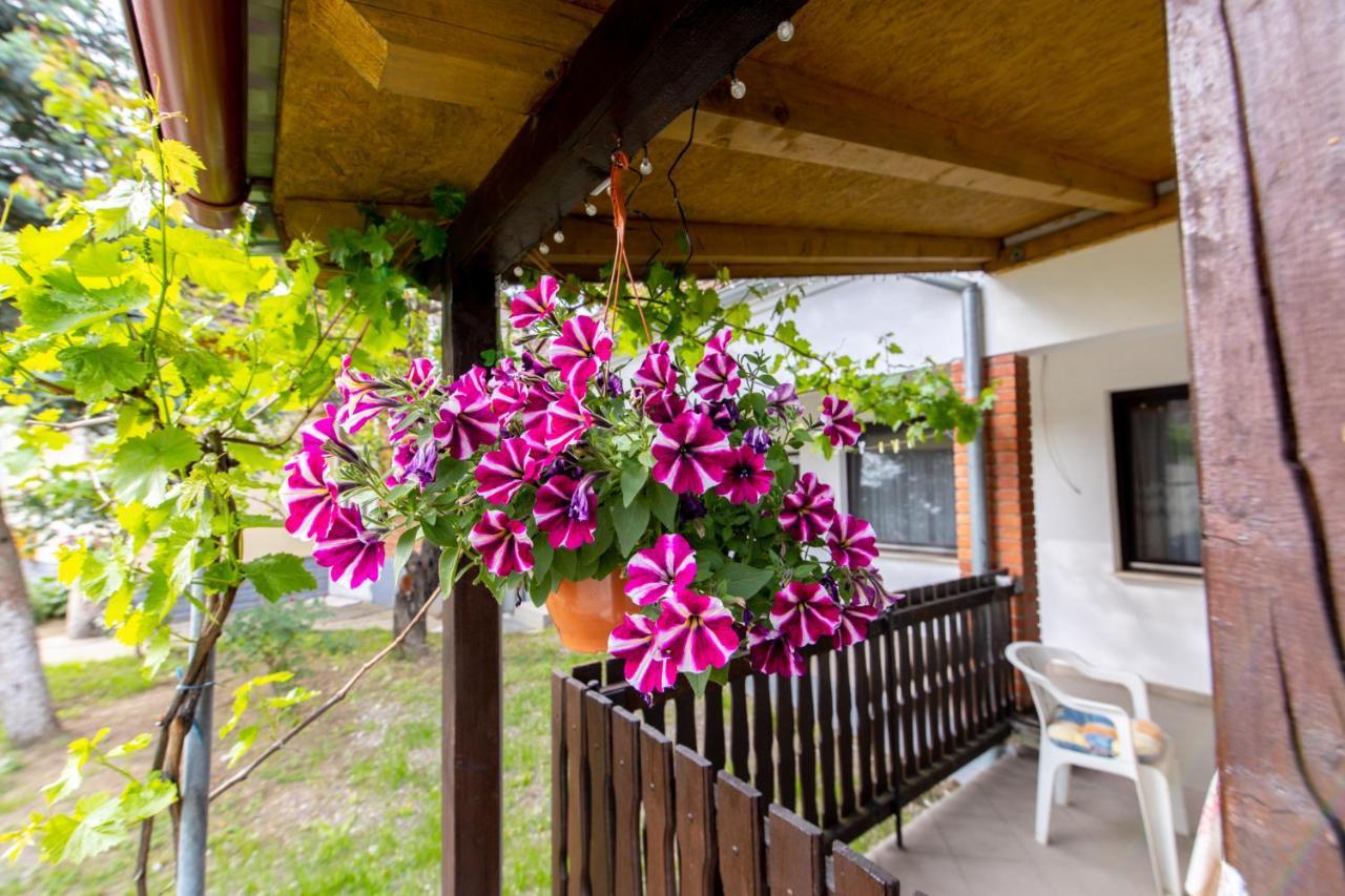 Apartman Marta I Soba Maja Gradiste Экстерьер фото